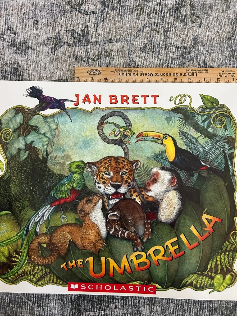 Scholastic Classroom Big Book- The Umbrella